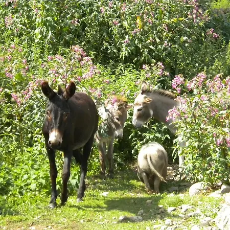 La D'hotes Du Moulin Gitenay Bed & Breakfast Clermont-Ferrand
